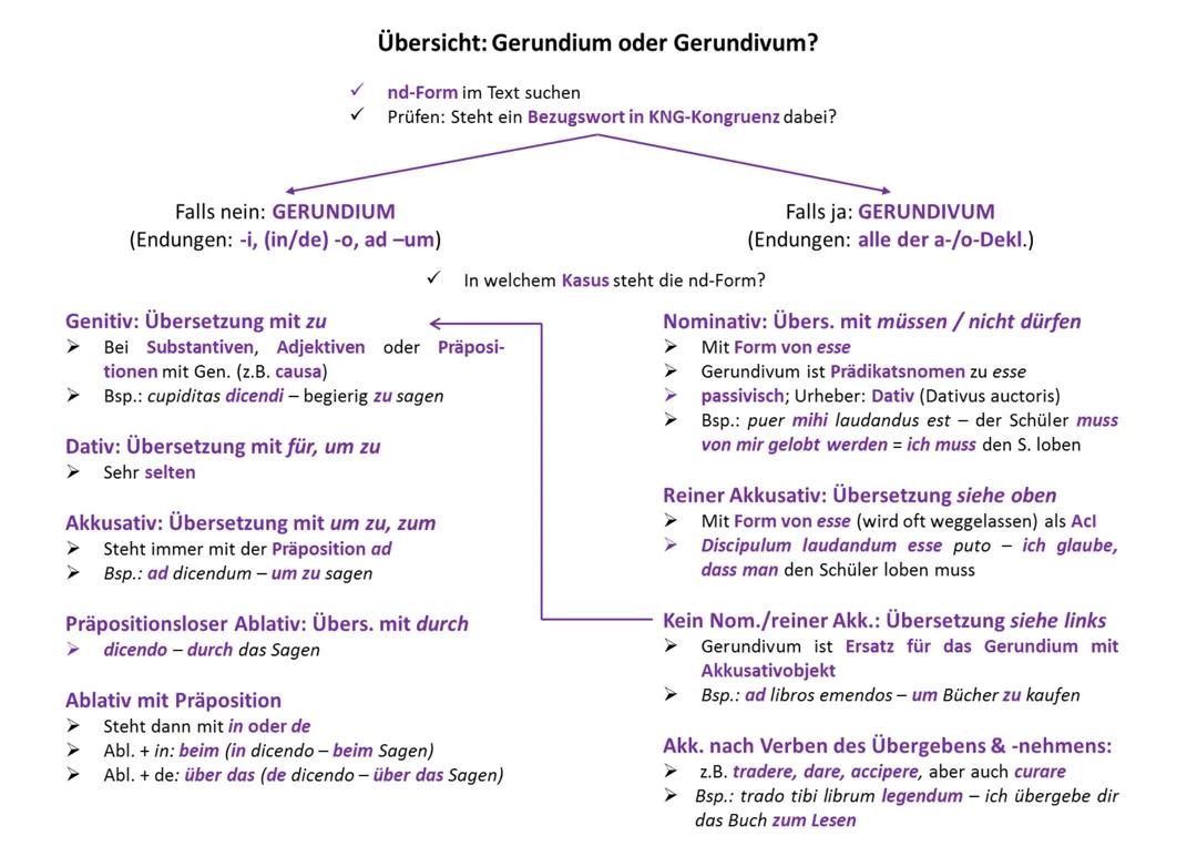 Gerundium und Gerundivum Latein: Beispiele, Übungen und Unterschiede