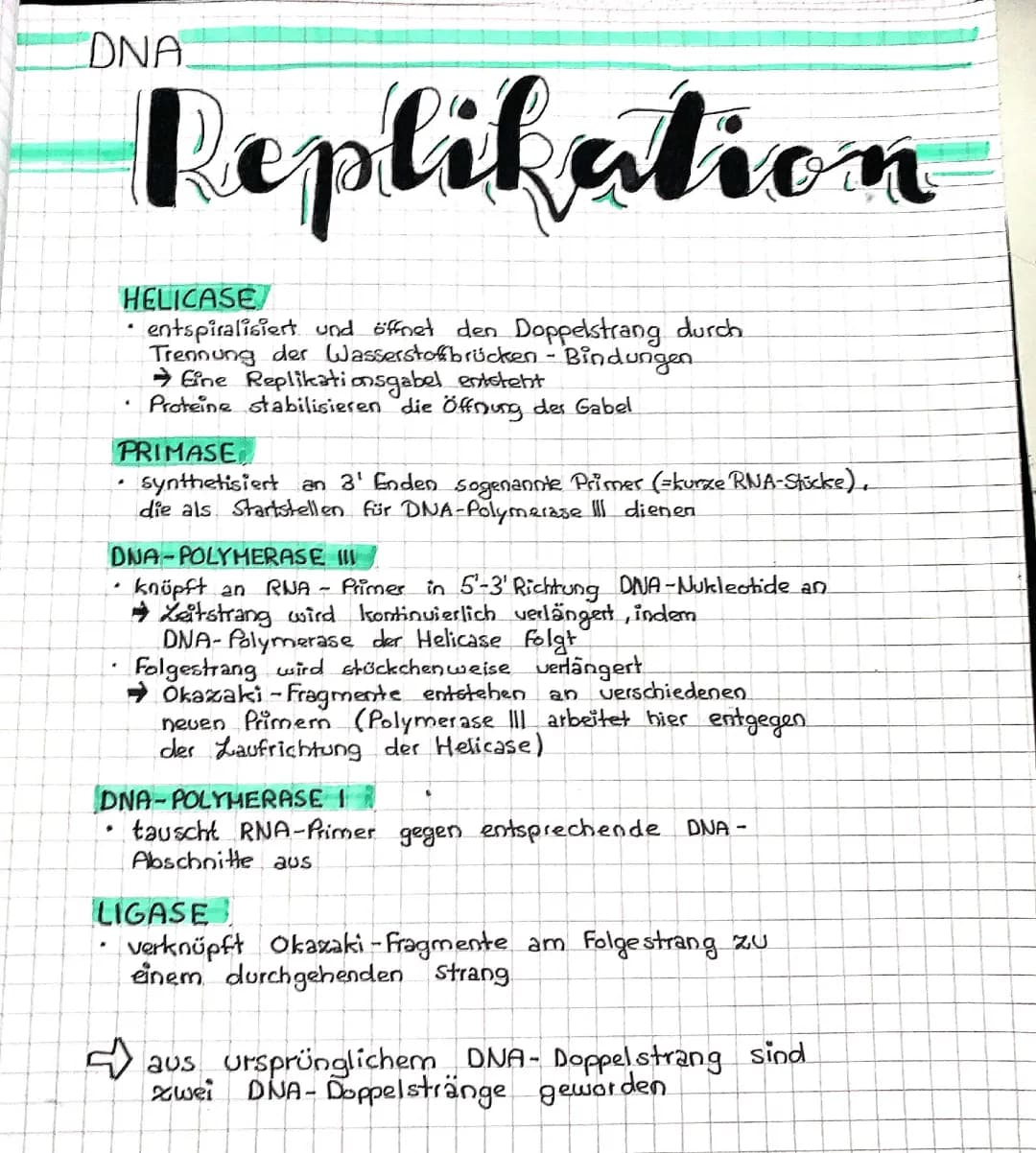 Replikation 