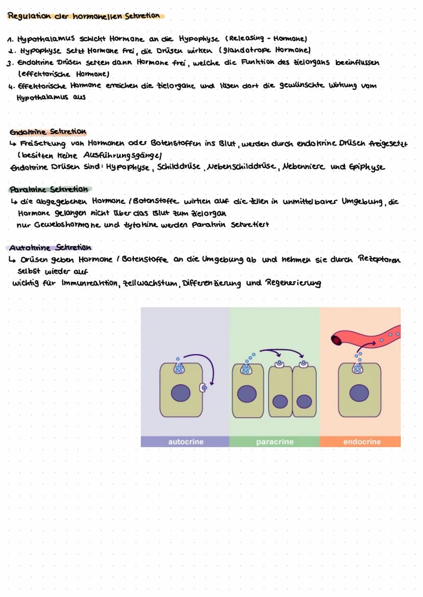 Das
Hormonsystem fro
به نصاب د سات در
Das Hormonsystem, welches auch als endotrines Systelu bezeichnet wird, ist ein organsystem
zur Steueru