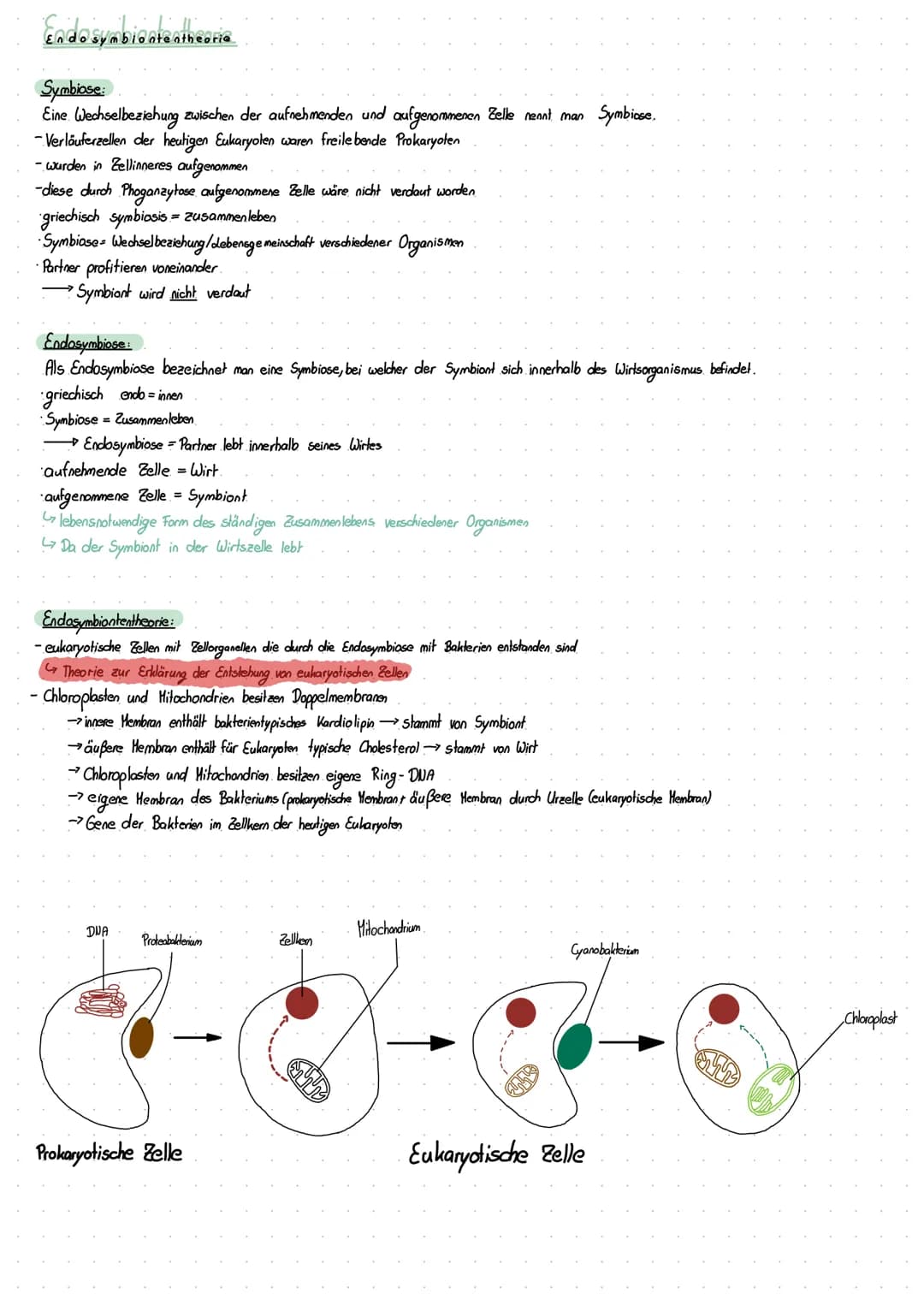 dernzettel Biologie
Die 5 Kennzeichen des Lebens.
Ein Organismus gilt als Lebewesen, wenn er ALLE. Kennzeichen des Lebendigen erfüllt:
- Wac