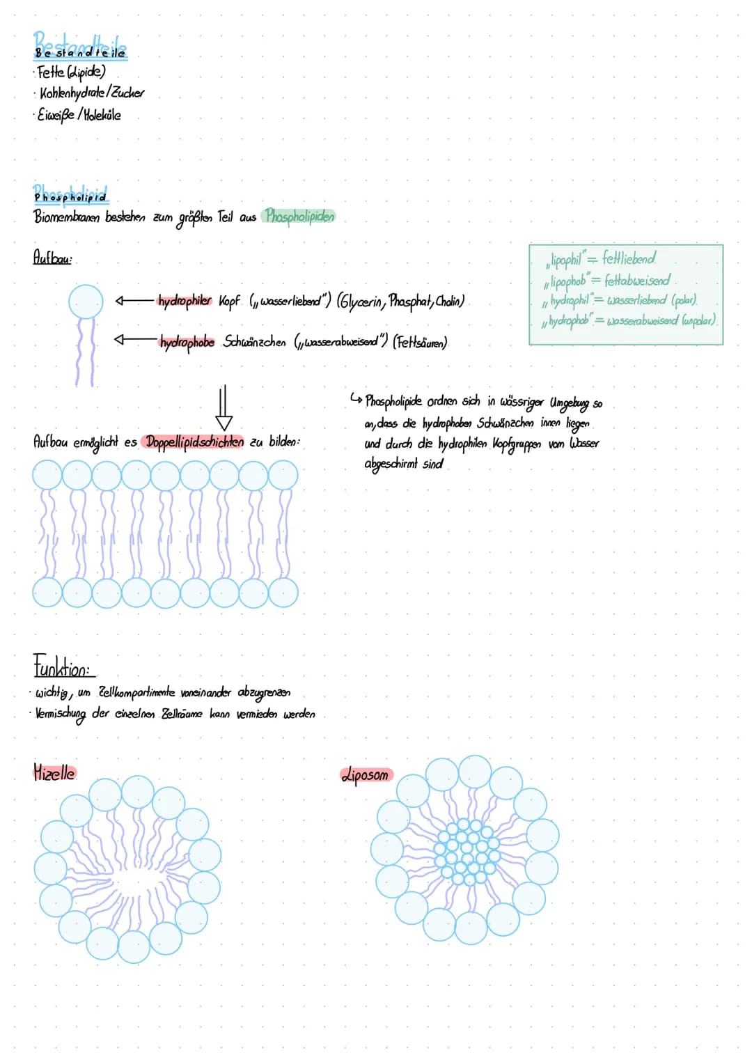 dernzettel Biologie
Die 5 Kennzeichen des Lebens.
Ein Organismus gilt als Lebewesen, wenn er ALLE. Kennzeichen des Lebendigen erfüllt:
- Wac