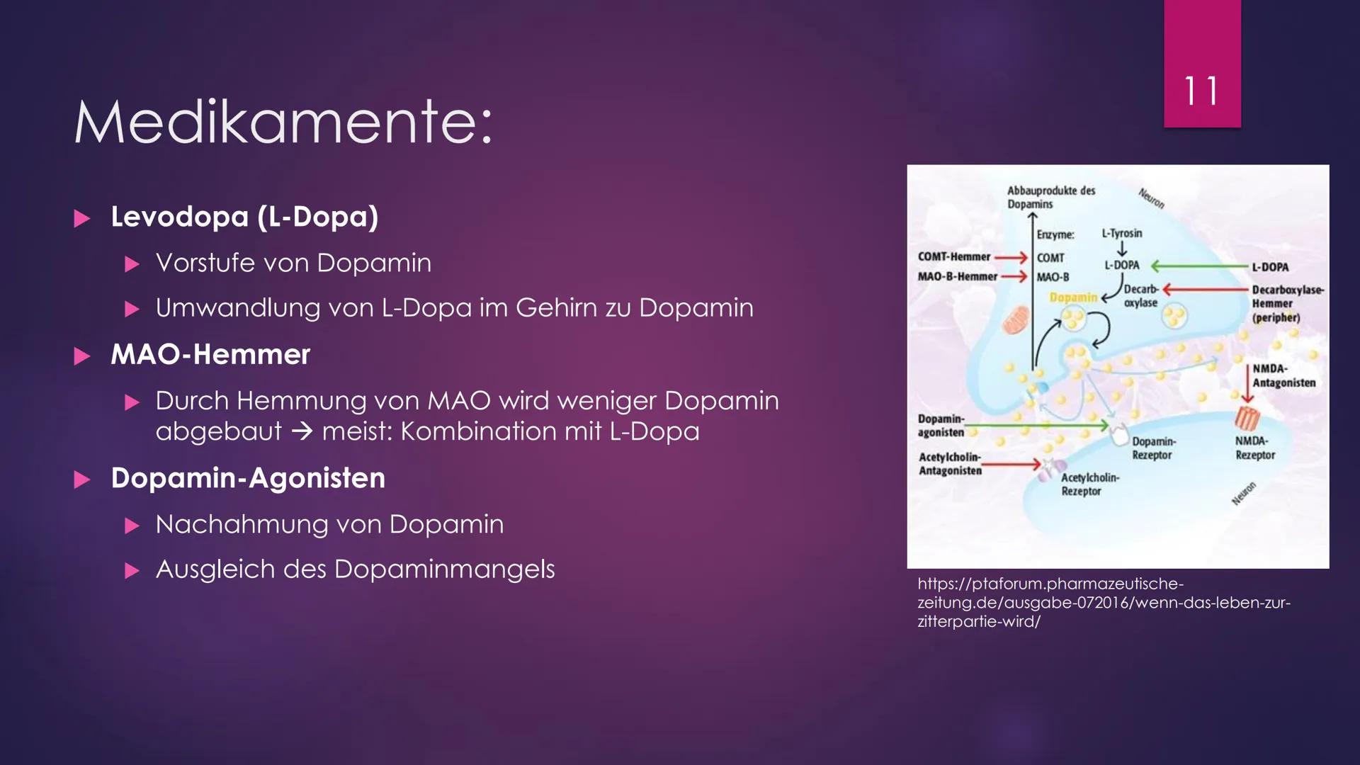 Parkinson
Eine Präsentation Von Julia Schmidtmeier
Erstellt Am 27.01.2021
Bio LK, Q2
hot
Bild: https://www.fitbook.de/health/fruehe-parkinso