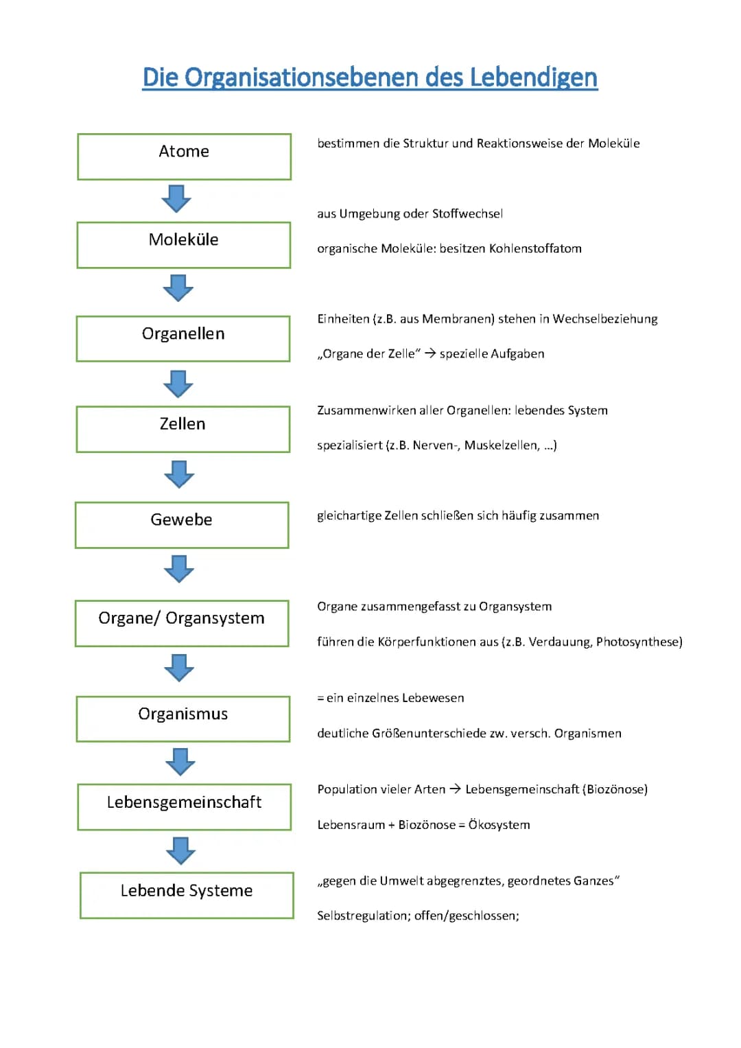 Die Organisationsebenen des Lebendigen