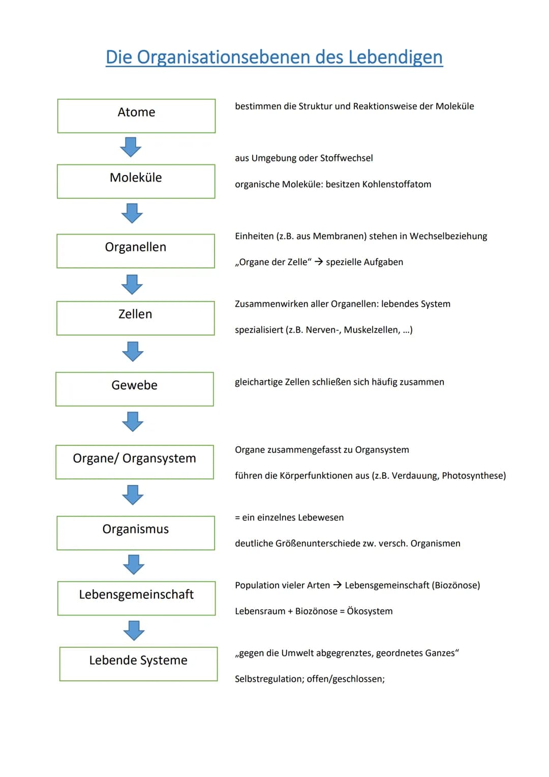 Die Organisationsebenen des Lebendigen
Atome
Moleküle
Organellen
Zellen
Gewebe
Organe/ Organsystem
Organismus
Lebensgemeinschaft
Lebende Sys