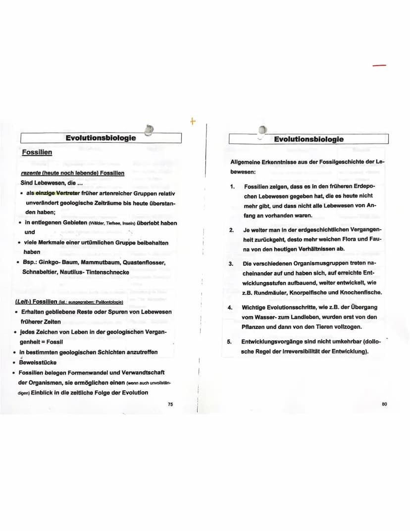 Evolutions theorie
sagt aus, dass die welt und die in ihr lebenden wesen sich nicht statisch verhalten, sondern in stetiger
Veränderung begr