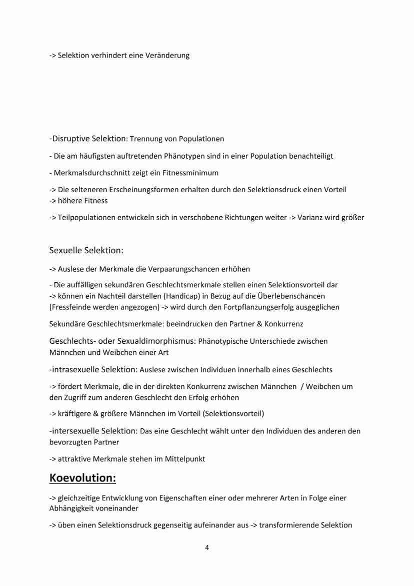 Voraussetzungen :
Evolution
- Weitergabe der Gene,
- genetisch bedingte Variabilität in der Merkmalsausprägung,
- Unterschiede im Fortpflanz