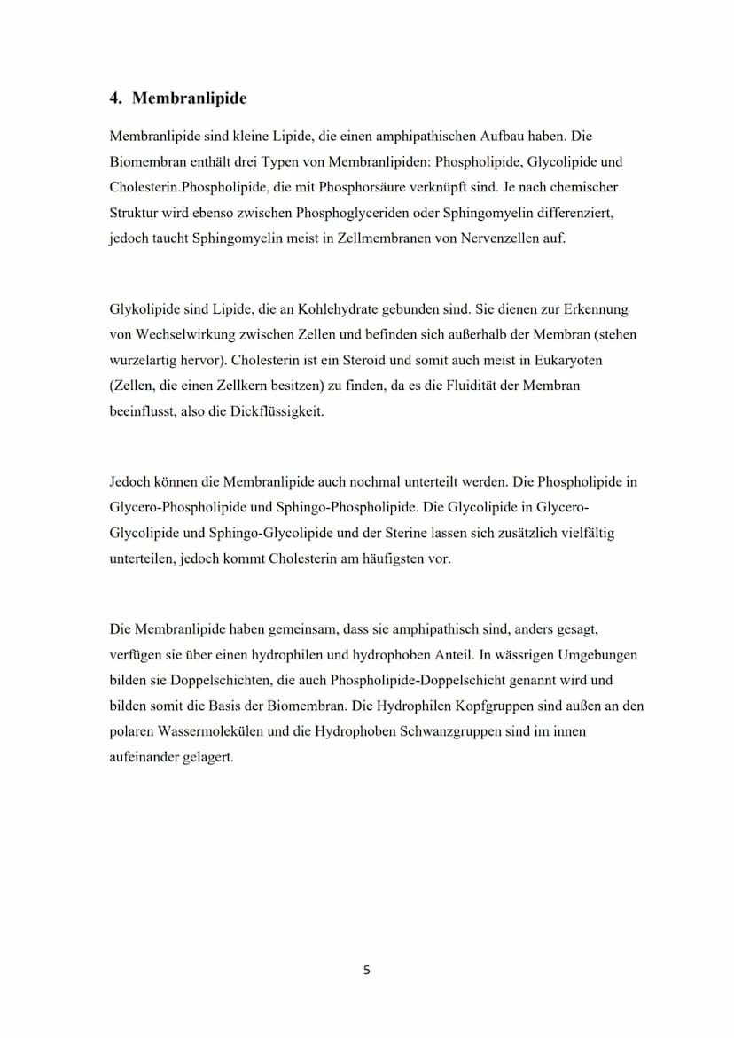 Kanalprotein
Cholesterin
-modellhafte Gegenüberstellung
Glycolipid
Globuläres Protein
Biomembran
00000000
Peripheres Protein
Glycoprotein
Ex