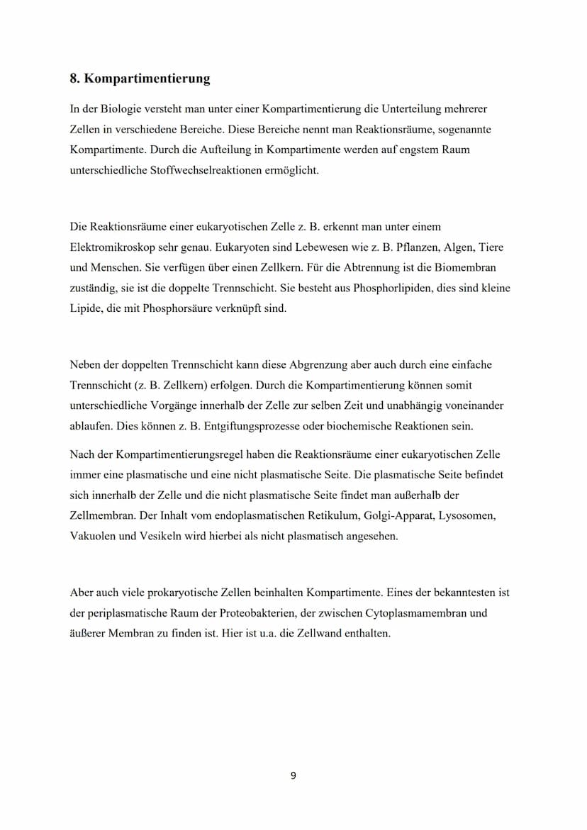 Kanalprotein
Cholesterin
-modellhafte Gegenüberstellung
Glycolipid
Globuläres Protein
Biomembran
00000000
Peripheres Protein
Glycoprotein
Ex