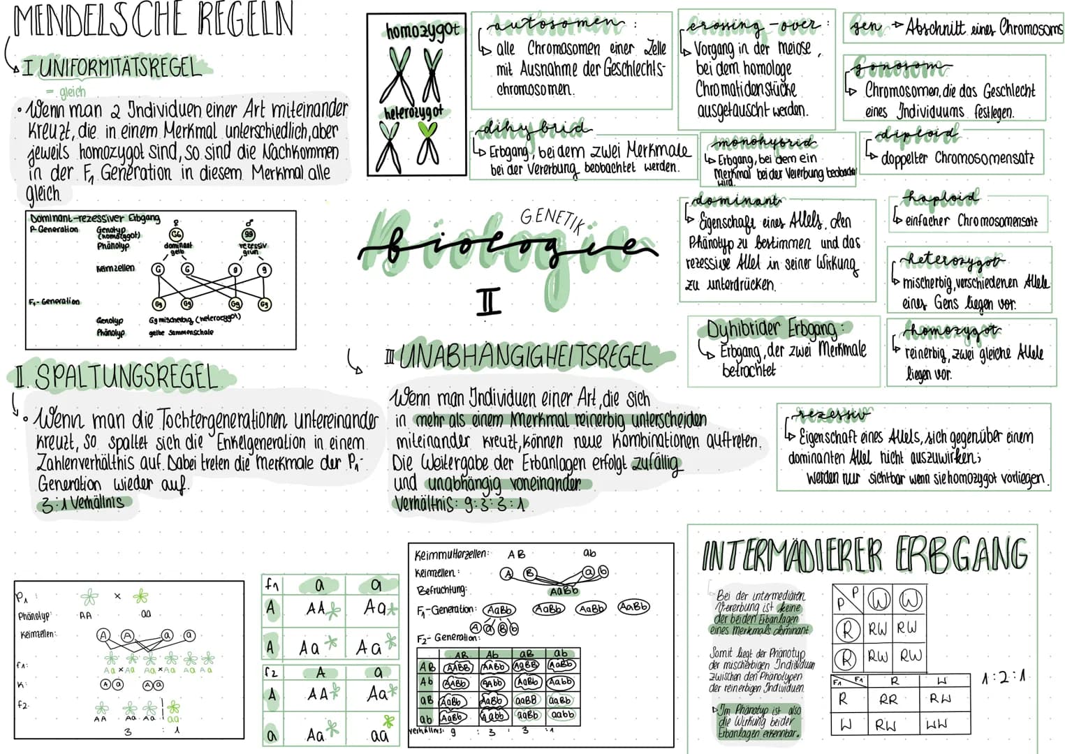 1.MEIOSE-Bildung
von heimzellen
Keimzelle 46 2-Chr.-Chr → Erhaltung durch Mitose.
1. Reifeteilung: Trennung der homologen Chromosomen
Pro ph