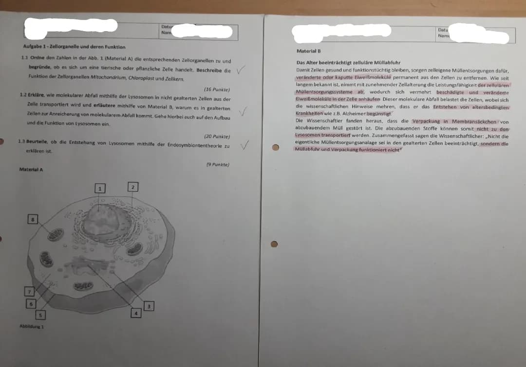 Zellorganellen, Diffusion und Osmose