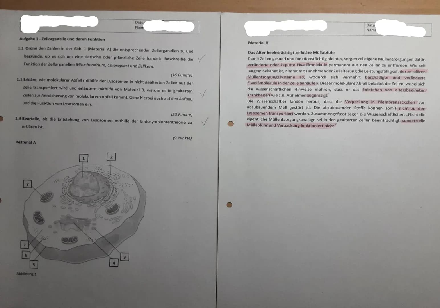 Aufgabe 1-Zellorganelle und deren Funktion
1.1 Ordne den Zahlen in der Abb. 1 (Material A) die entsprechenden Zeliorganellen zu und
begründe
