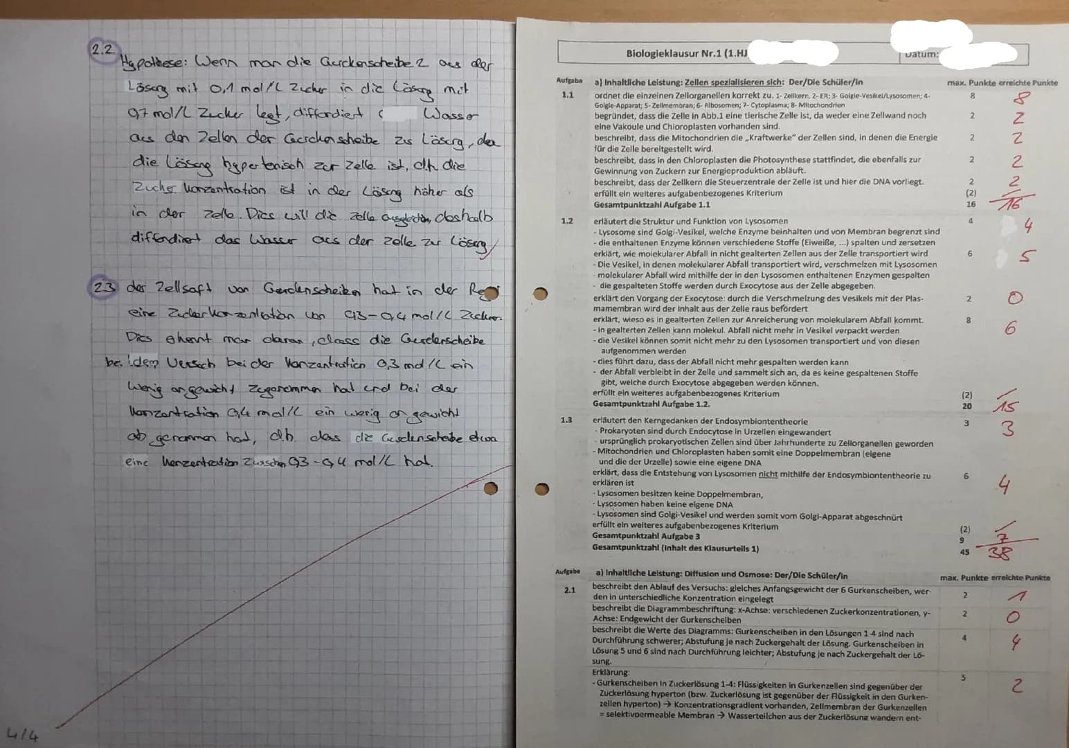 Aufgabe 1-Zellorganelle und deren Funktion
1.1 Ordne den Zahlen in der Abb. 1 (Material A) die entsprechenden Zeliorganellen zu und
begründe
