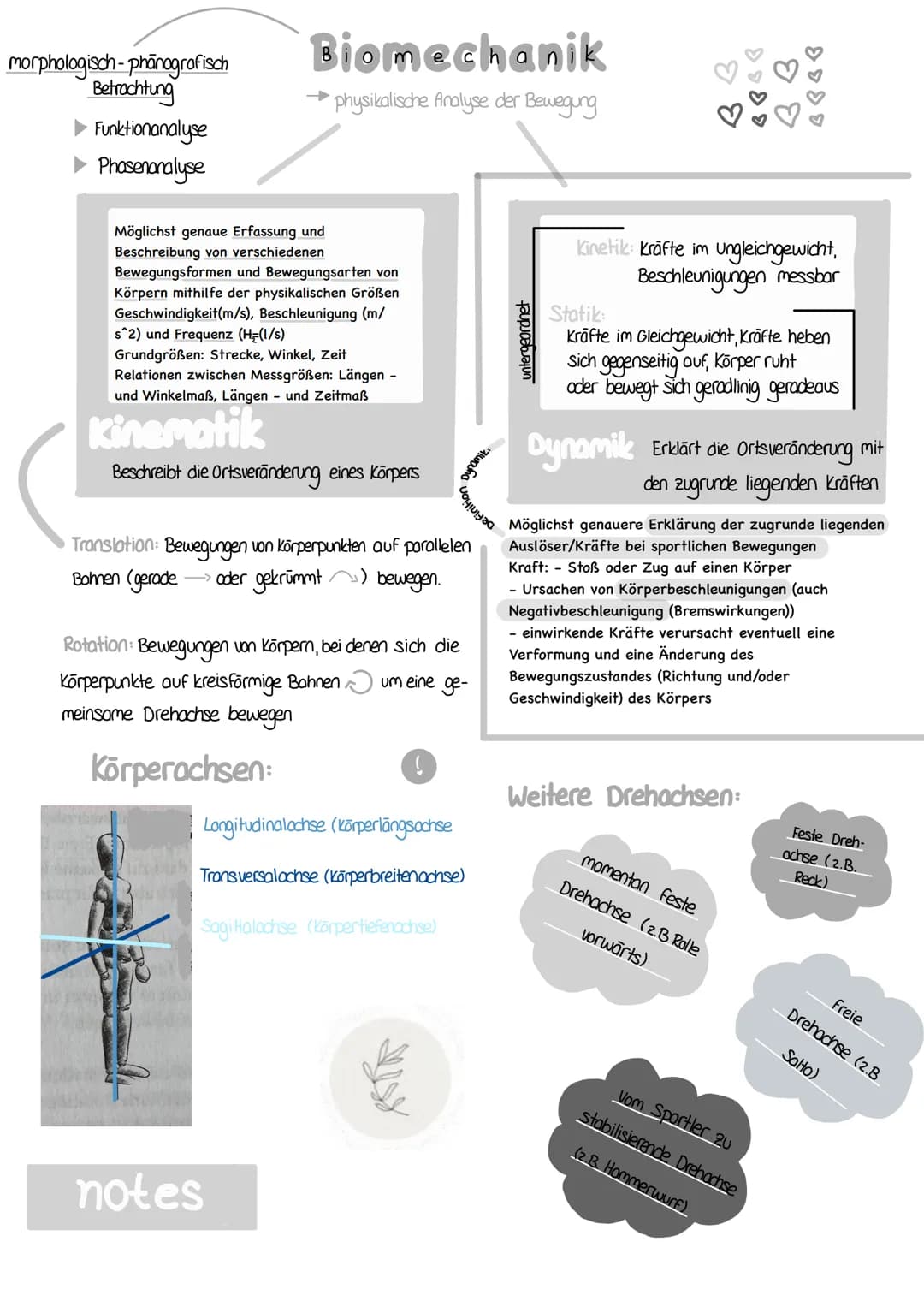 morphologisch-phanografisch
Betrachtung
Funktionanalyse
Phasenanalyse
Biomechanik
physikalische Analyse der Bewegung
Möglichst genaue Erfass