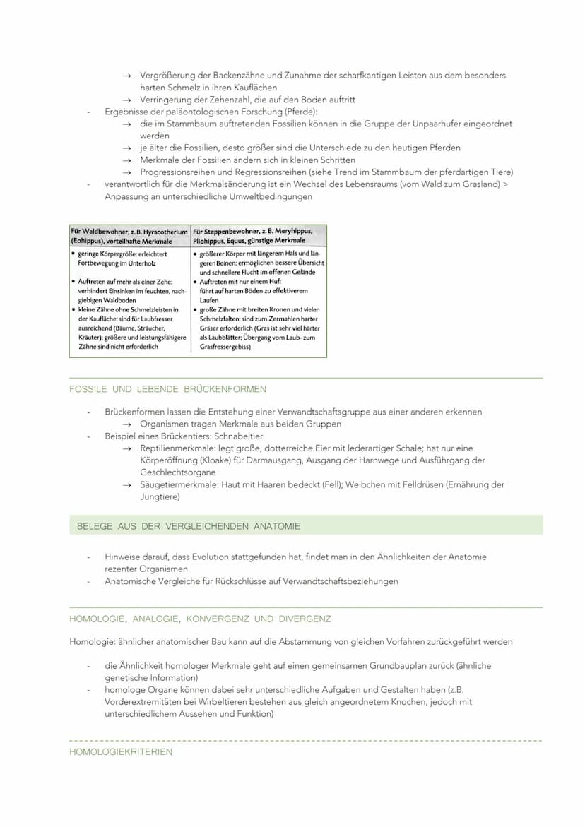 EVOLUTION
VIELFALT UND SYSTEMATISCHE ORDNUNG DER ORGANISMEN
Evolution: Entwicklung, Weiterentwicklung und Umwandlung der Organismen
heute ve