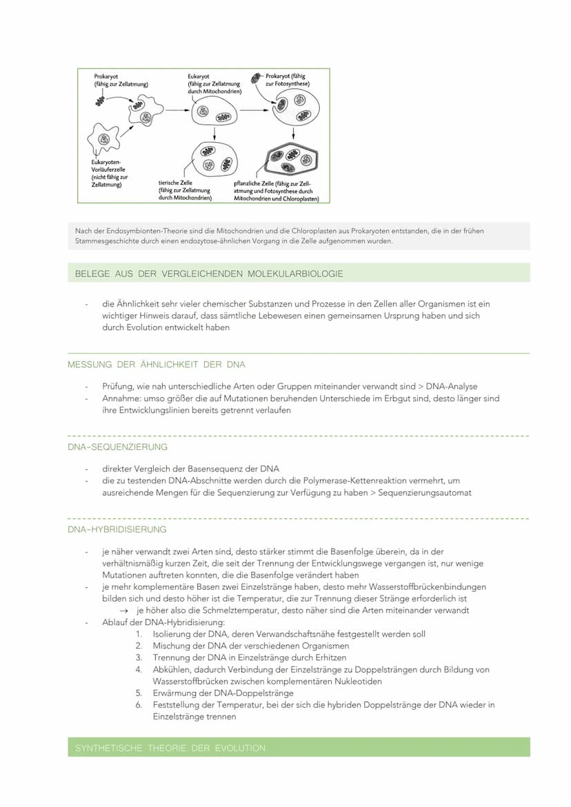 EVOLUTION
VIELFALT UND SYSTEMATISCHE ORDNUNG DER ORGANISMEN
Evolution: Entwicklung, Weiterentwicklung und Umwandlung der Organismen
heute ve