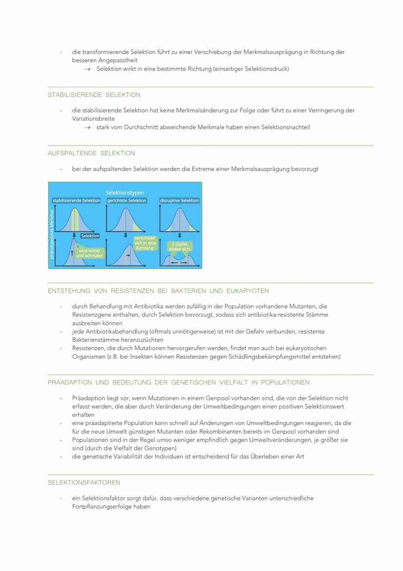 EVOLUTION
VIELFALT UND SYSTEMATISCHE ORDNUNG DER ORGANISMEN
Evolution: Entwicklung, Weiterentwicklung und Umwandlung der Organismen
heute ve
