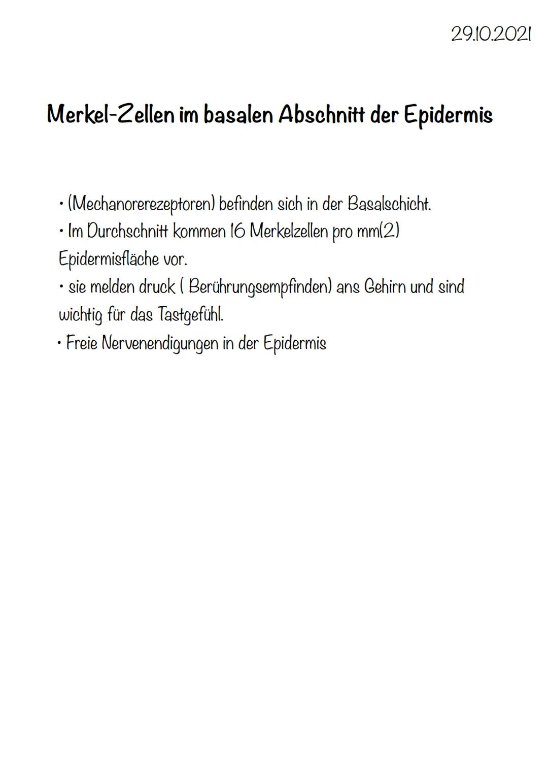 4 x Grundgewebearten
→> Nervengewebe -> Neuronen (Nervenzellen)
→> Muskelgewebe -> Myozyten (griech. Muskel)
-> Epithelgewebe -> Epithel bed
