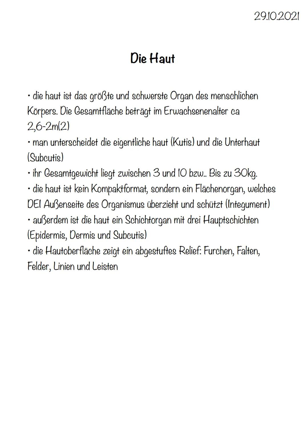 4 x Grundgewebearten
→> Nervengewebe -> Neuronen (Nervenzellen)
→> Muskelgewebe -> Myozyten (griech. Muskel)
-> Epithelgewebe -> Epithel bed