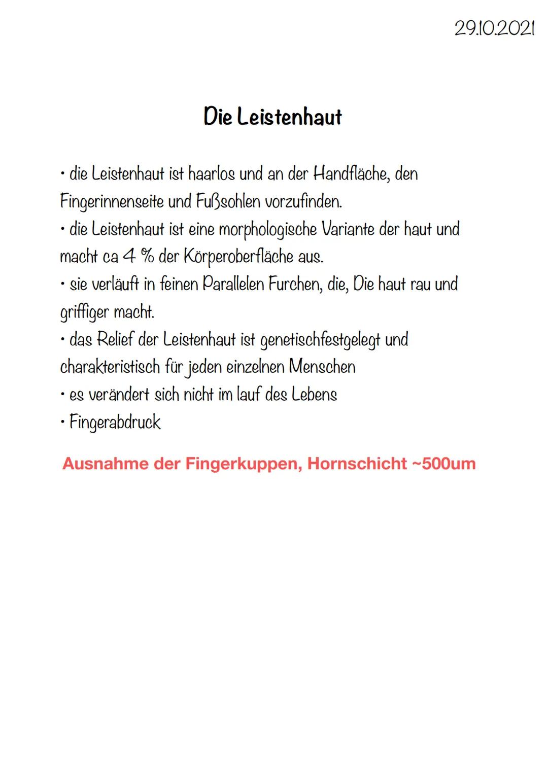 4 x Grundgewebearten
→> Nervengewebe -> Neuronen (Nervenzellen)
→> Muskelgewebe -> Myozyten (griech. Muskel)
-> Epithelgewebe -> Epithel bed