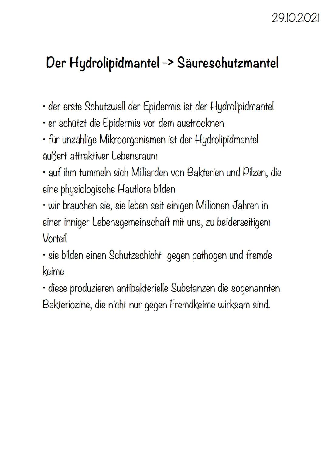 4 x Grundgewebearten
→> Nervengewebe -> Neuronen (Nervenzellen)
→> Muskelgewebe -> Myozyten (griech. Muskel)
-> Epithelgewebe -> Epithel bed