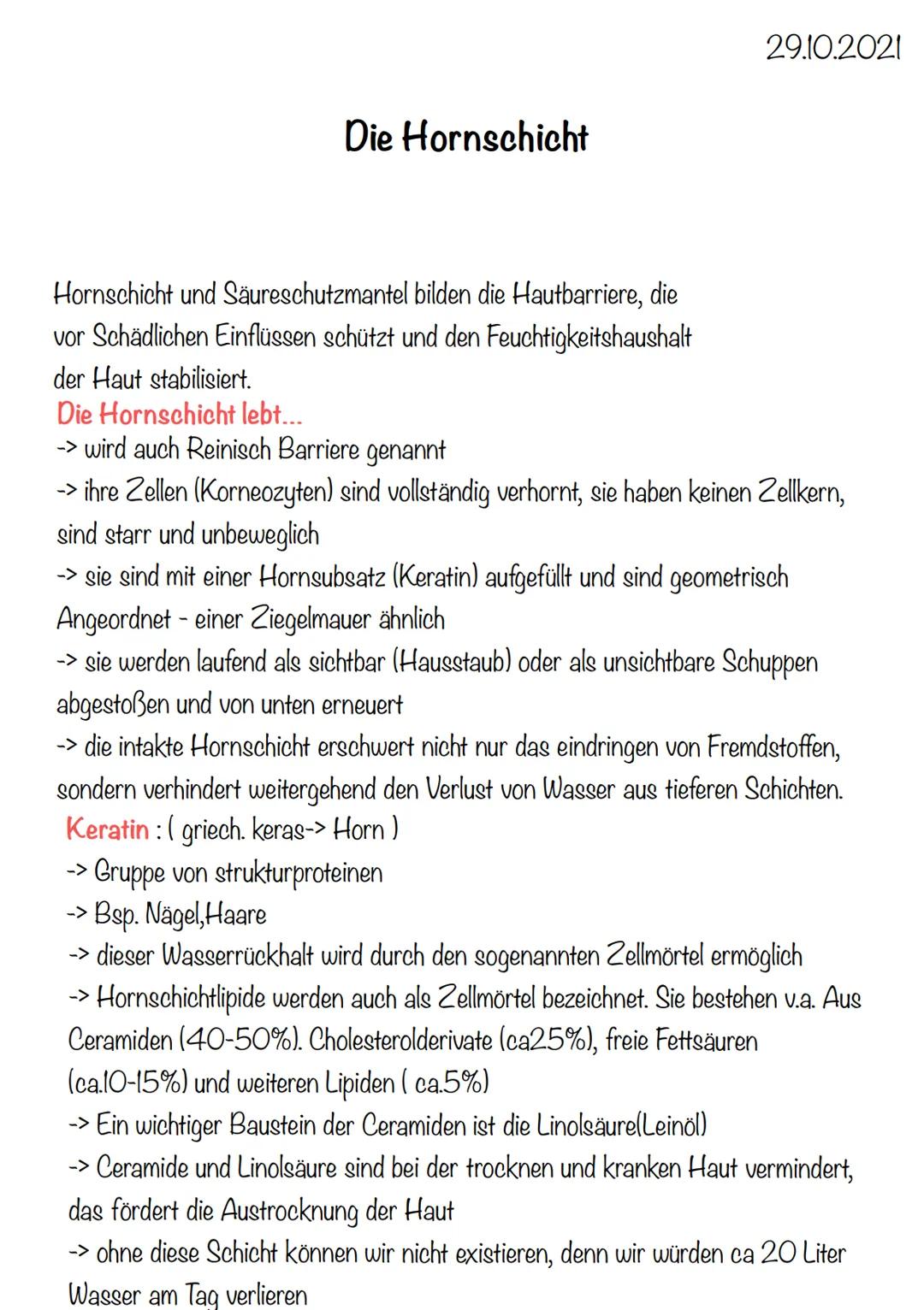4 x Grundgewebearten
→> Nervengewebe -> Neuronen (Nervenzellen)
→> Muskelgewebe -> Myozyten (griech. Muskel)
-> Epithelgewebe -> Epithel bed