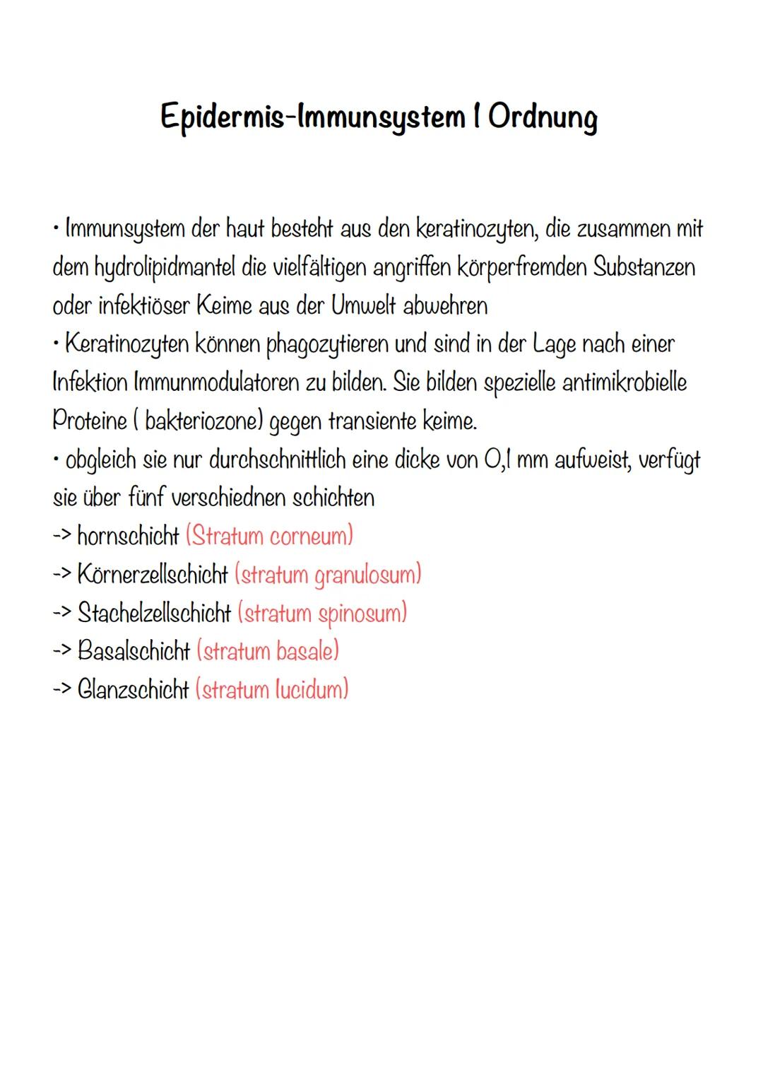 4 x Grundgewebearten
→> Nervengewebe -> Neuronen (Nervenzellen)
→> Muskelgewebe -> Myozyten (griech. Muskel)
-> Epithelgewebe -> Epithel bed