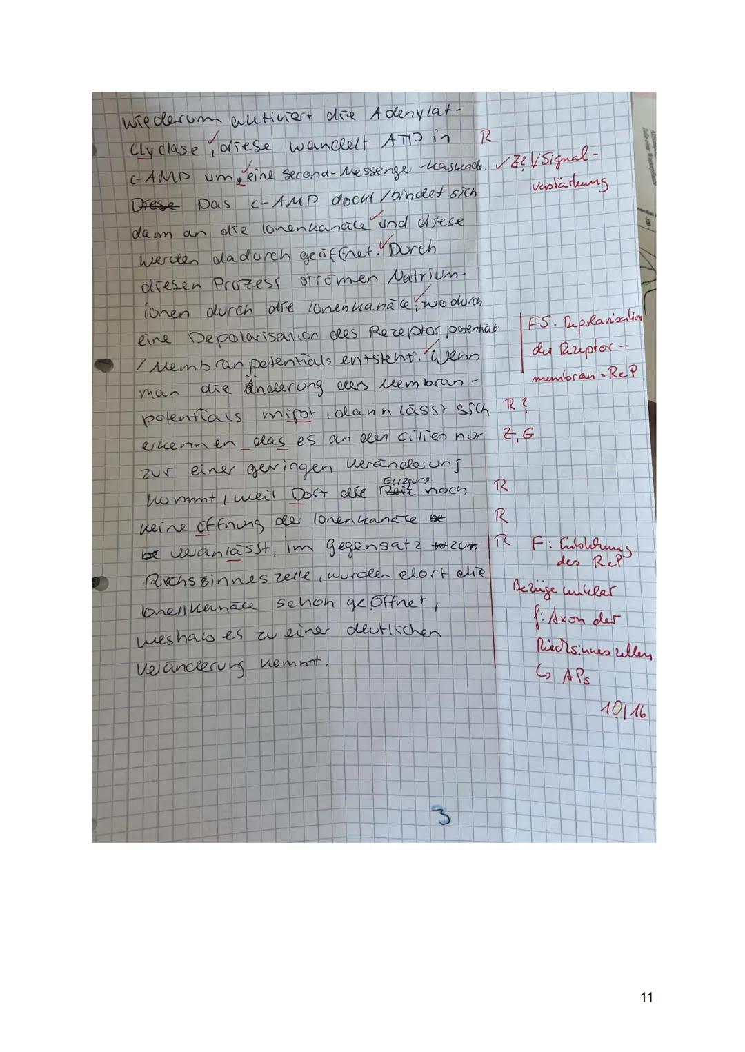 1: Aktionspotenziale bei Tieren und Pflanzen (34 BE)
Erst seit einigen Jahrzehnten weiß man, dass auch bei Pflanzen
elektrophysiologische Pr