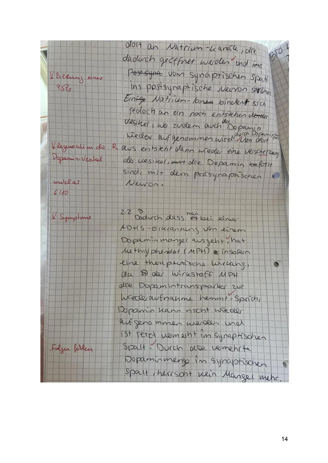 1: Aktionspotenziale bei Tieren und Pflanzen (34 BE)
Erst seit einigen Jahrzehnten weiß man, dass auch bei Pflanzen
elektrophysiologische Pr