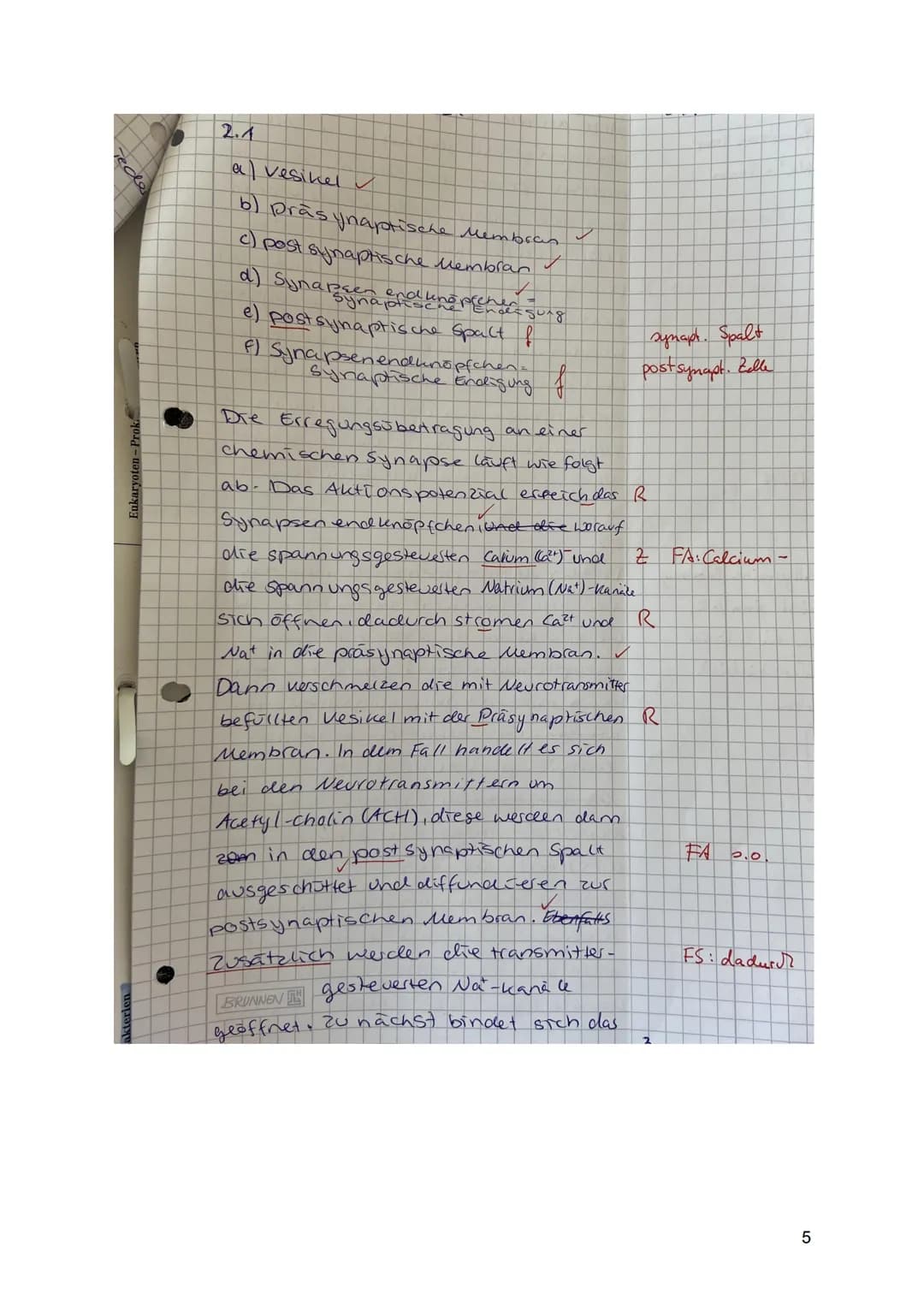 1: Aktionspotenziale bei Tieren und Pflanzen (34 BE)
Erst seit einigen Jahrzehnten weiß man, dass auch bei Pflanzen
elektrophysiologische Pr