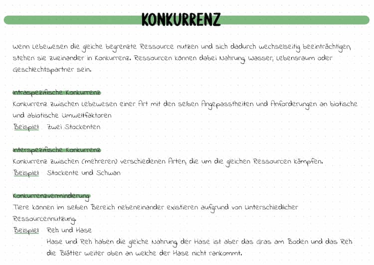 Know Fachbegriffe - Konkurrenz  thumbnail