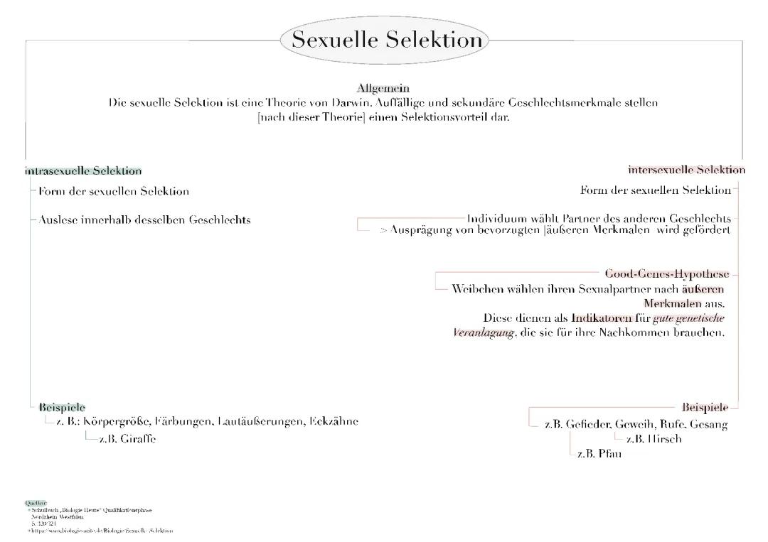 Sexuelle Selektion: Definition, Beispiele und Die Handicap-Hypothese