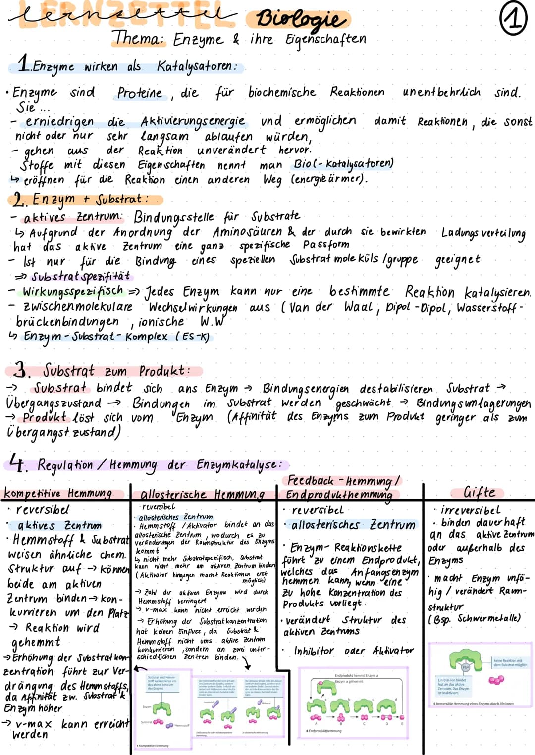 cerna
Etel
Biologie
Thema: Enzyme & ihre Eigenschaften
• Enzyme sind
Sie...
1. Enzyme wirken als Katalysatoren:
-
gehen aus
Stoffe mit diese