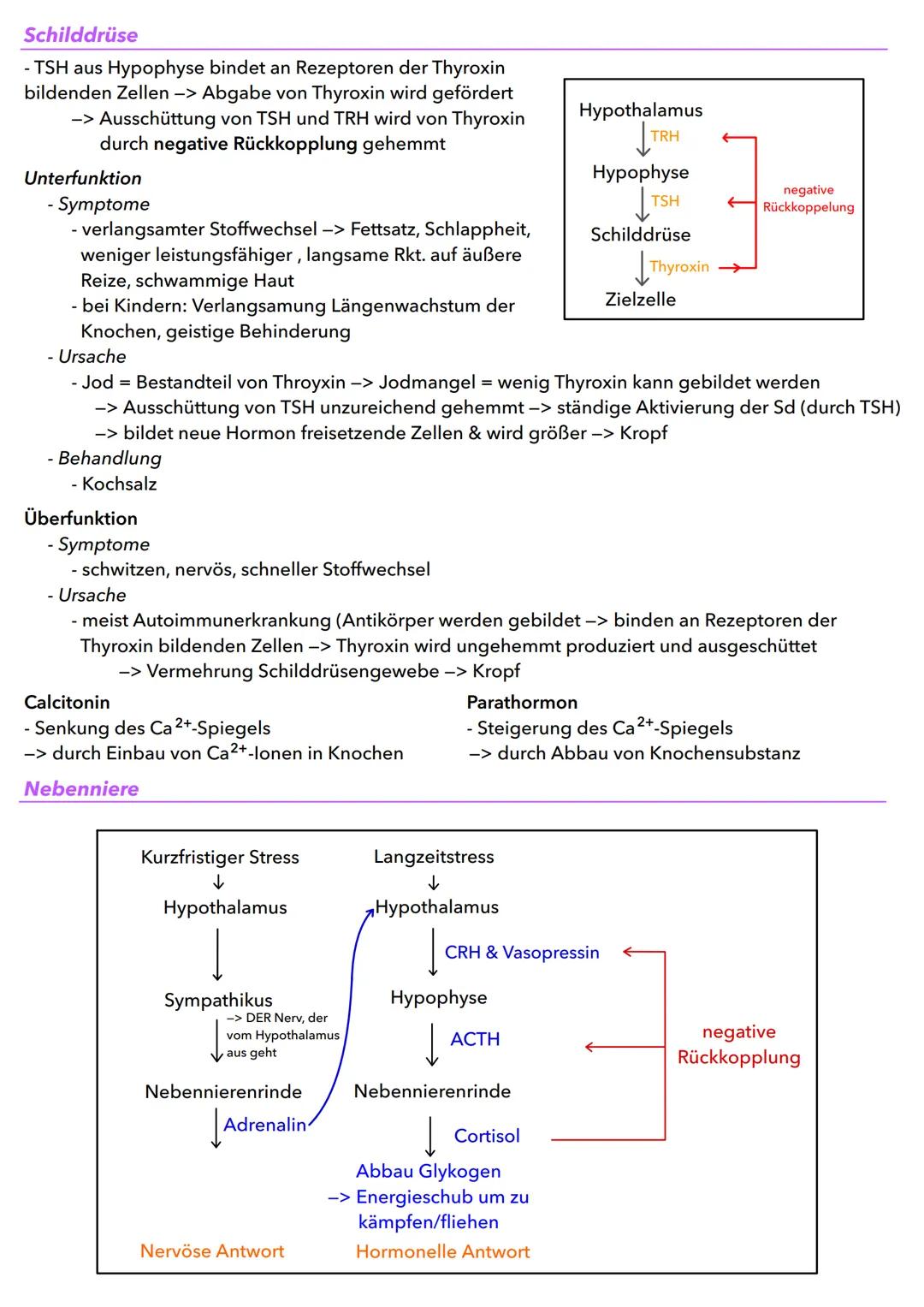 Allgemein, was sind Hormone?
- Moleküle bei Menschen & Tieren, werden in extrazellulären Flüssigkeiten abgegeben, kreisen im Blut
oder der H
