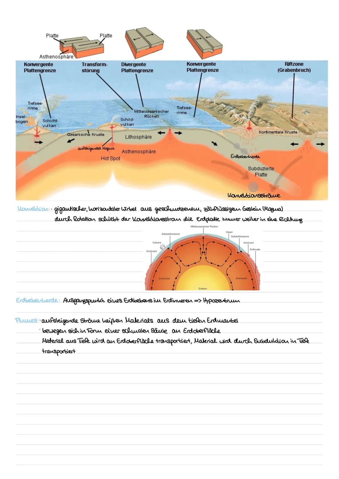 Plattentektonik für Kinder erklärt: Definition, Karte und Arbeitsblatt