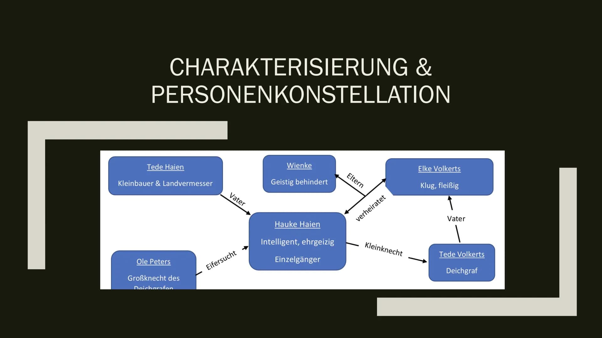 DER
SCHIMMELREITER
HAMBURGER LESEHEFTE VERLAG
THEODOR STORM
DER
SCHIMMELREITER Gymnasium Landau a. d. Isar
Clarissa Schemmel
1. Charakterisi