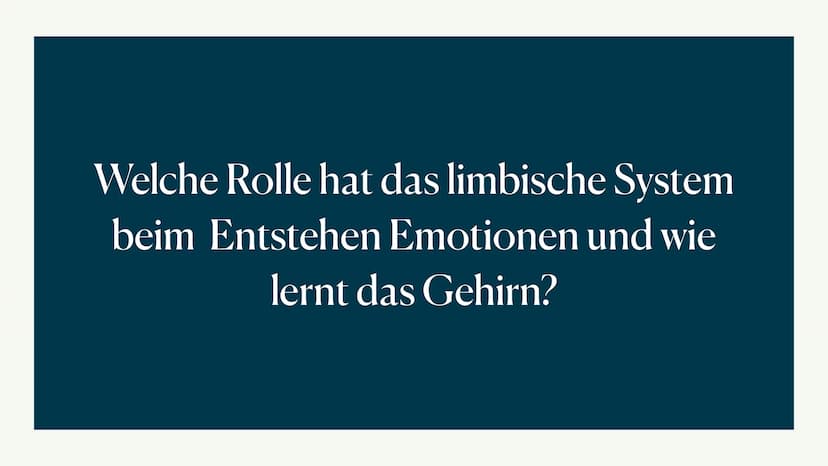 Limbisches System
Helen 06.12.2022 Welche Rolle hat das limbische System
beim Entstehen Emotionen und wie
lernt das Gehirn? ●
●
●
●
Aufbau d