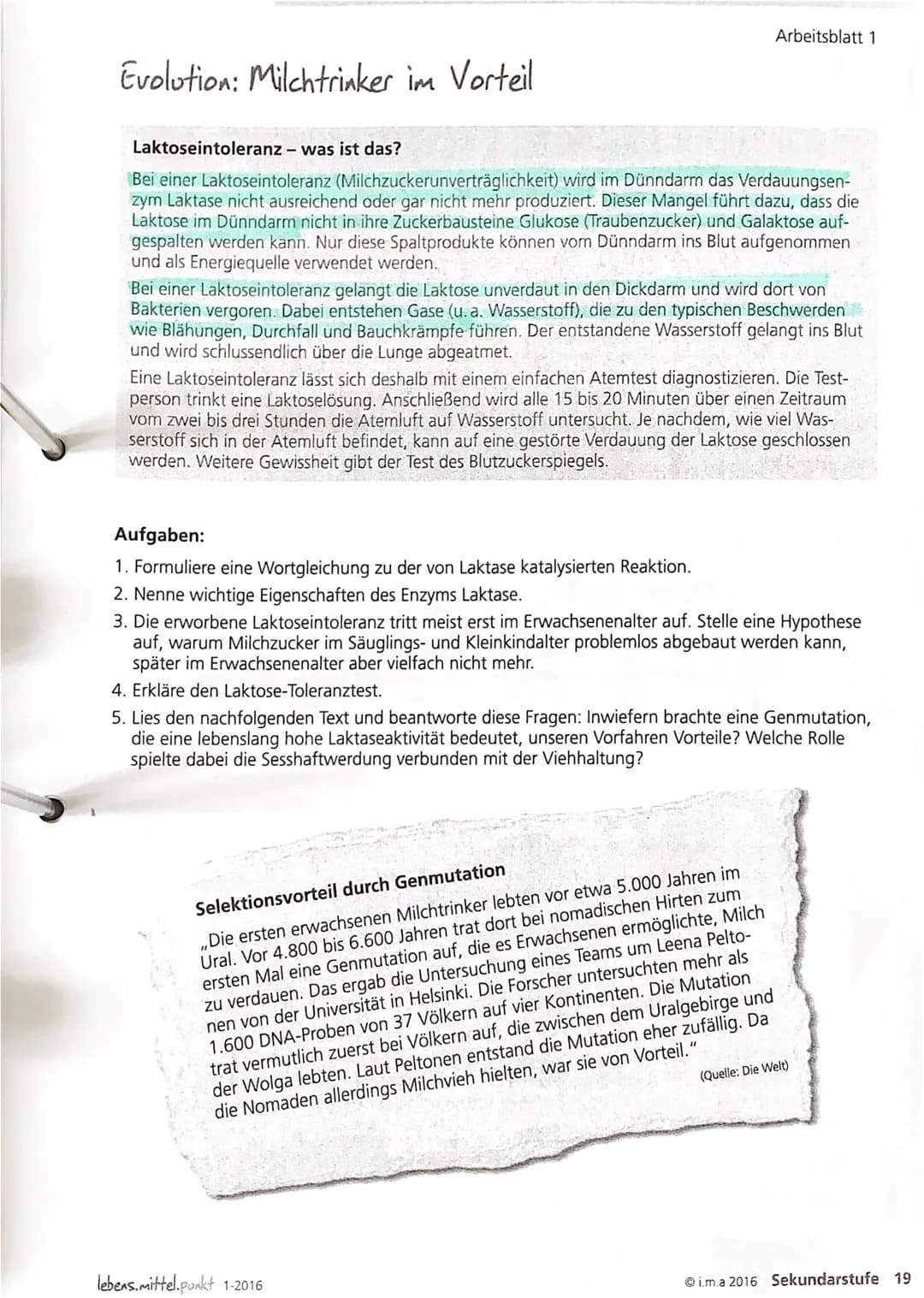 -> Glucose + Galaktose (H)
2. Verdauungsenzym im Dünndarm reagiert
mit Milchzucker (Spaltung)
1. Laktose.
3. Der Mensch ist als kleinkind in