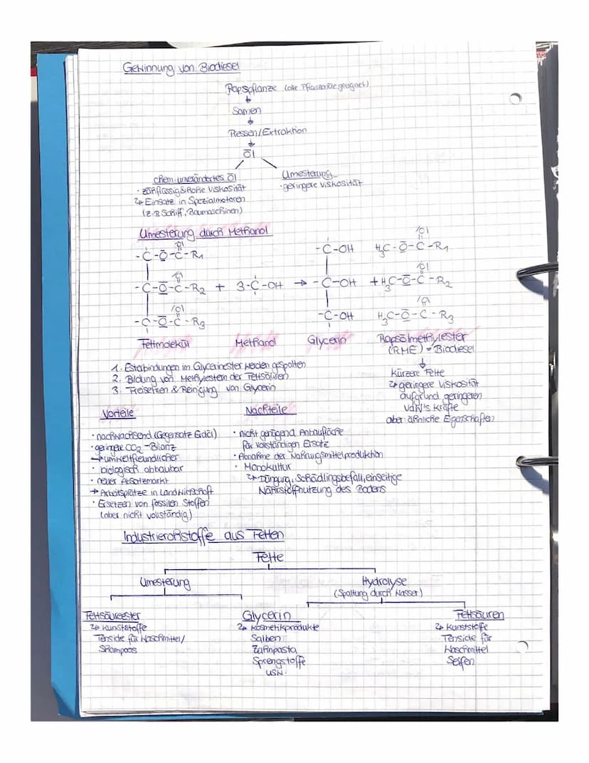 Kondensation:
Verbindung
zheier Molekule
unter Abspaltung
eines kleinen
Molekuls (z.B
Hasser, Ammmak)
Chemie
Fette
2 natürlich vorkommende V