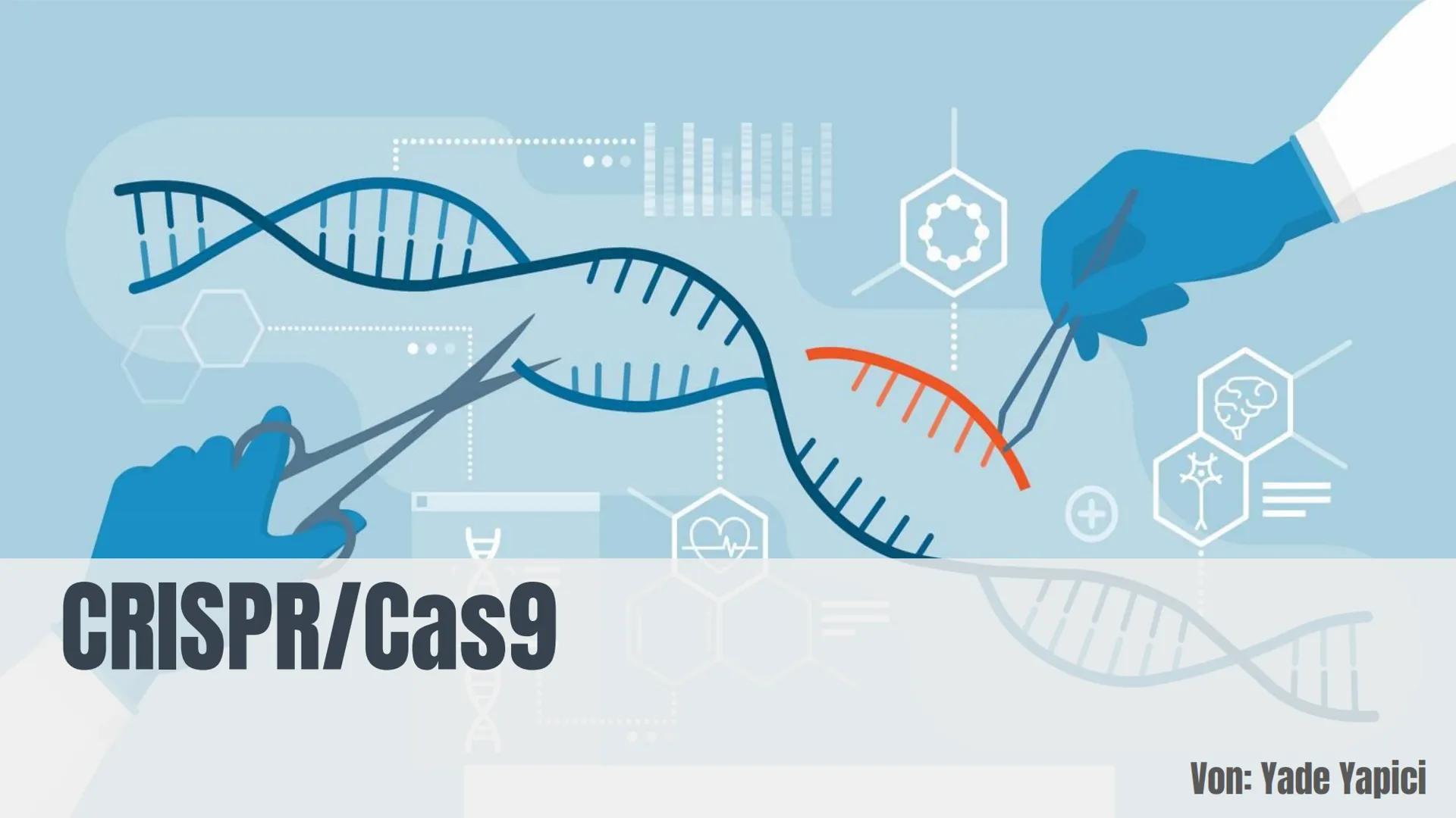 # CRISPR/Cas9

Von: Yade Yapici Gliederung

Definition von Maschine/KI

2 Konzepte der menschlichen Identität
2.1 Sprache
2.2 Freier Wille

