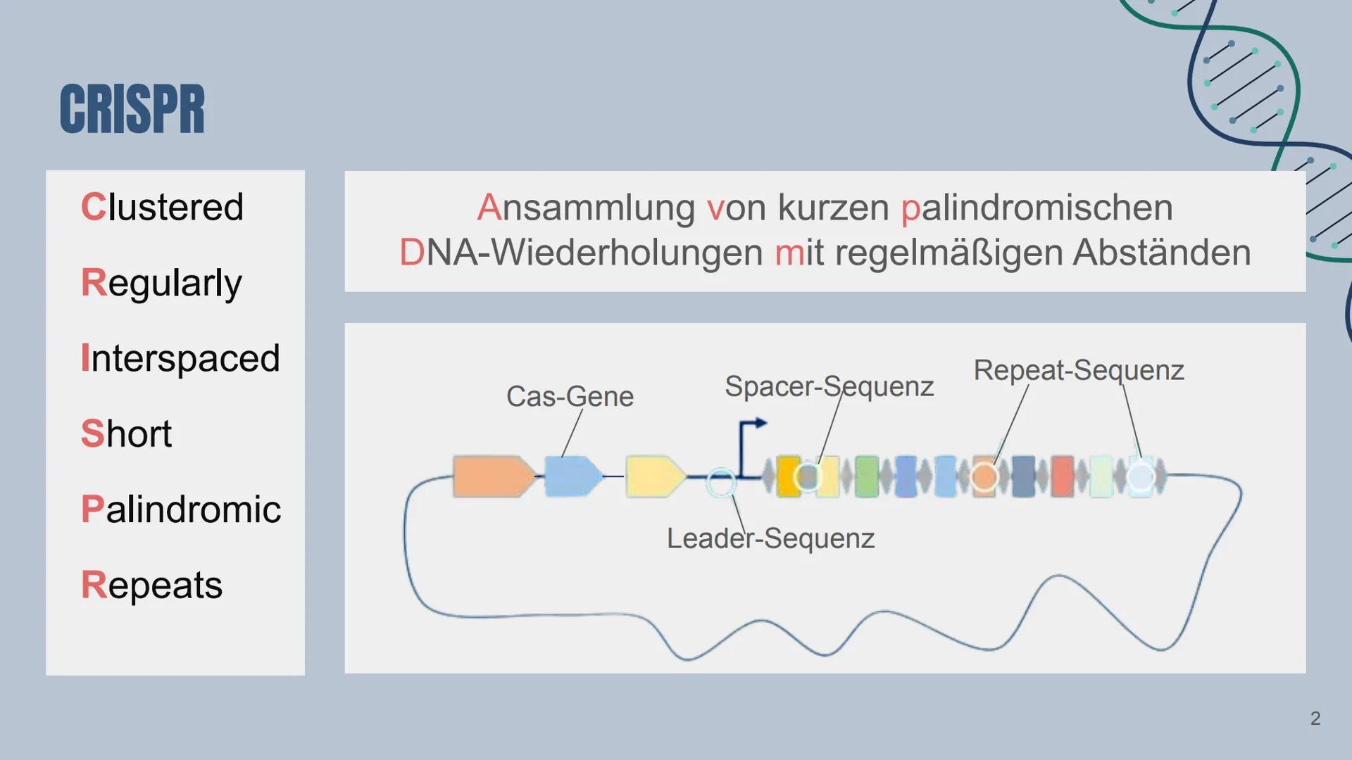 # CRISPR/Cas9

Von: Yade Yapici Gliederung

Definition von Maschine/KI

2 Konzepte der menschlichen Identität
2.1 Sprache
2.2 Freier Wille

