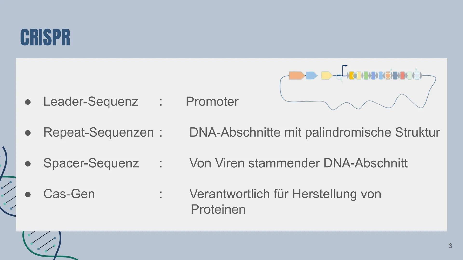 # CRISPR/Cas9

Von: Yade Yapici Gliederung

Definition von Maschine/KI

2 Konzepte der menschlichen Identität
2.1 Sprache
2.2 Freier Wille

