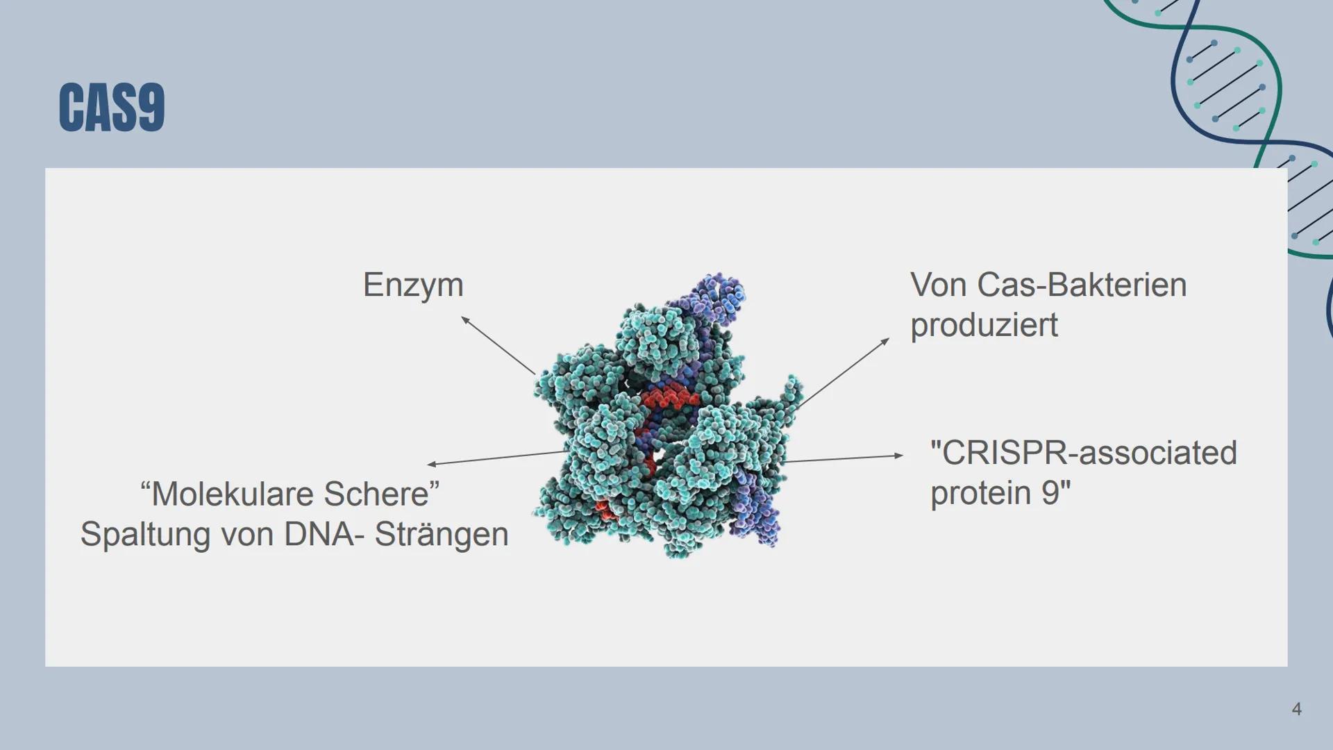 # CRISPR/Cas9

Von: Yade Yapici Gliederung

Definition von Maschine/KI

2 Konzepte der menschlichen Identität
2.1 Sprache
2.2 Freier Wille

