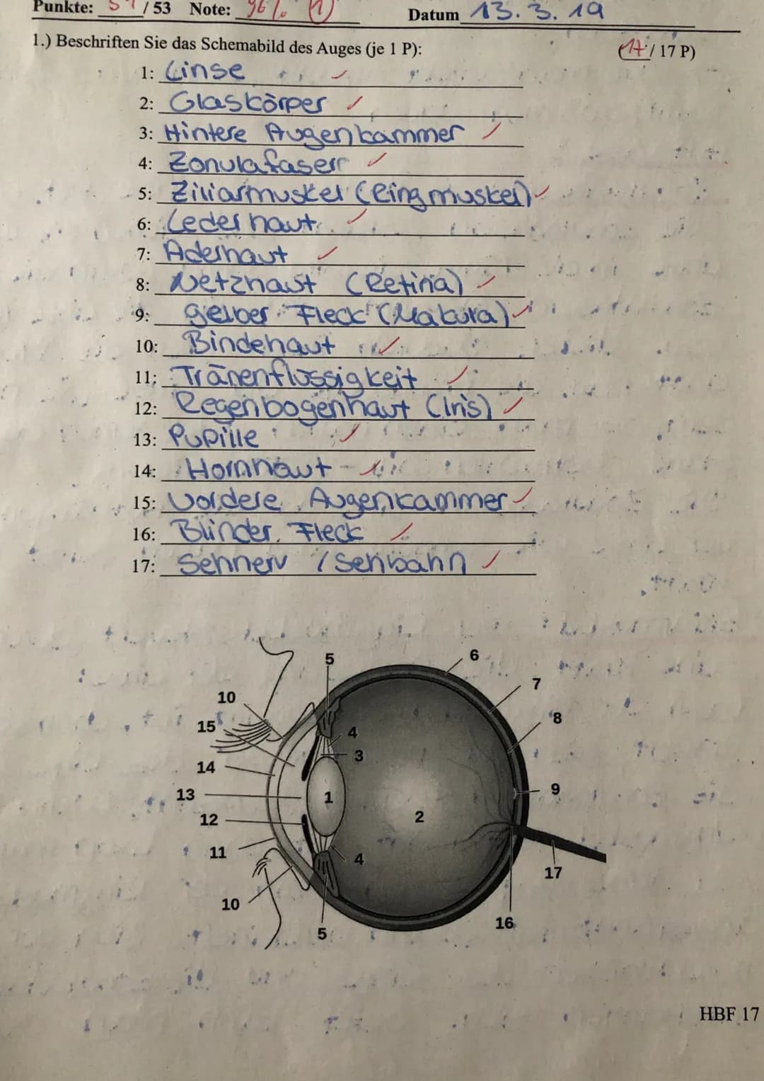 Punkte: S 53 Note:
W
1.) Beschriften Sie das Schemabild des Auges (je 1 P):
1: Cinse
2: Glaskörper
3: Hintere Augen kammer
少
4: Zonulafaserr