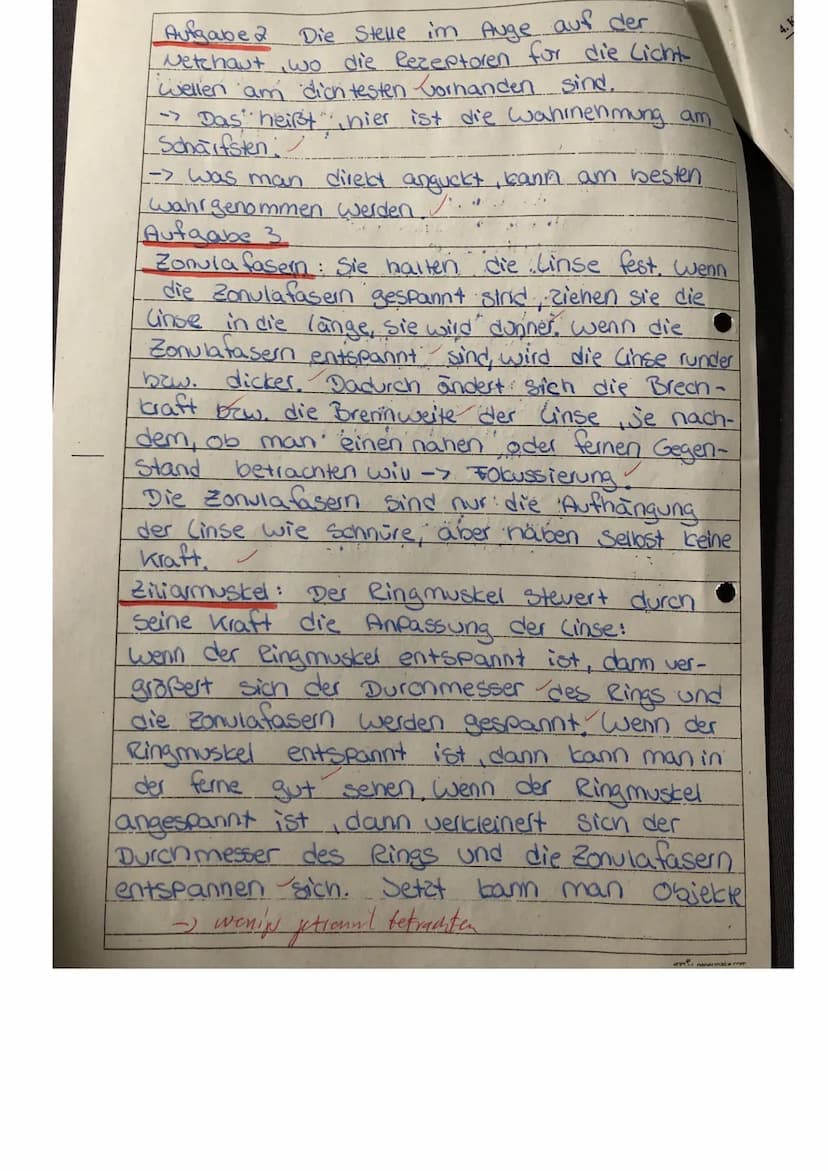 Punkte: S 53 Note:
W
1.) Beschriften Sie das Schemabild des Auges (je 1 P):
1: Cinse
2: Glaskörper
3: Hintere Augen kammer
少
4: Zonulafaserr