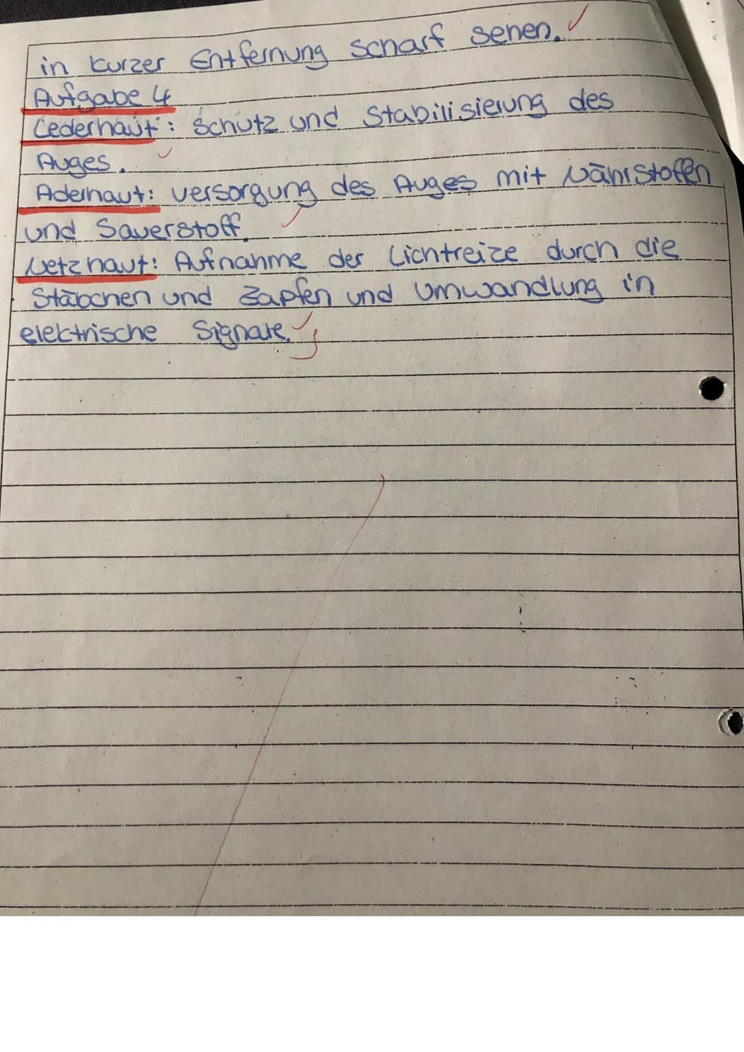 Punkte: S 53 Note:
W
1.) Beschriften Sie das Schemabild des Auges (je 1 P):
1: Cinse
2: Glaskörper
3: Hintere Augen kammer
少
4: Zonulafaserr