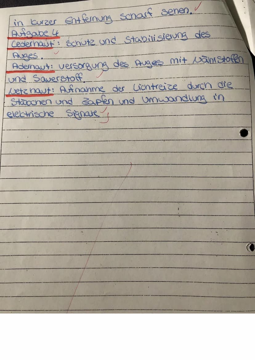 Punkte: S 53 Note:
W
1.) Beschriften Sie das Schemabild des Auges (je 1 P):
1: Cinse
2: Glaskörper
3: Hintere Augen kammer
少
4: Zonulafaserr