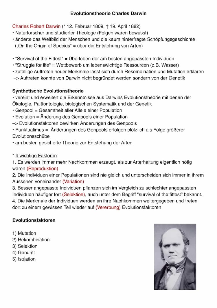 Know Evolution Zusammenfassung  thumbnail