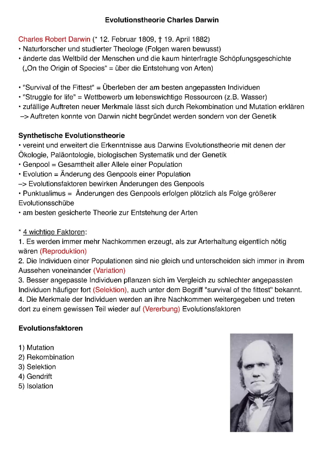 Evolution Zusammenfassung 