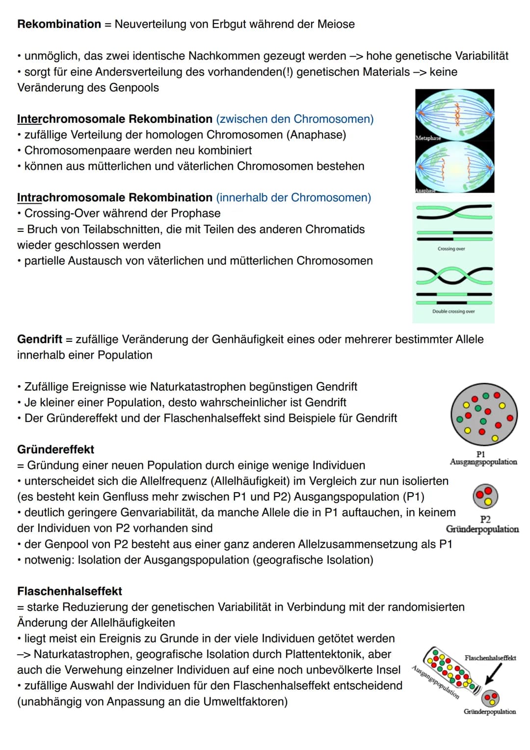 Charles Robert Darwin (* 12. Februar 1809, † 19. April 1882)
• Naturforscher und studierter Theologe (Folgen waren bewusst)
• änderte das We