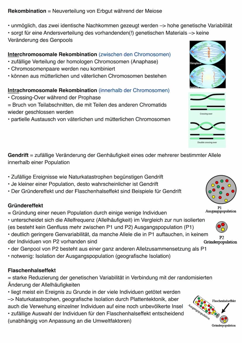 Charles Robert Darwin (* 12. Februar 1809, † 19. April 1882)
• Naturforscher und studierter Theologe (Folgen waren bewusst)
• änderte das We